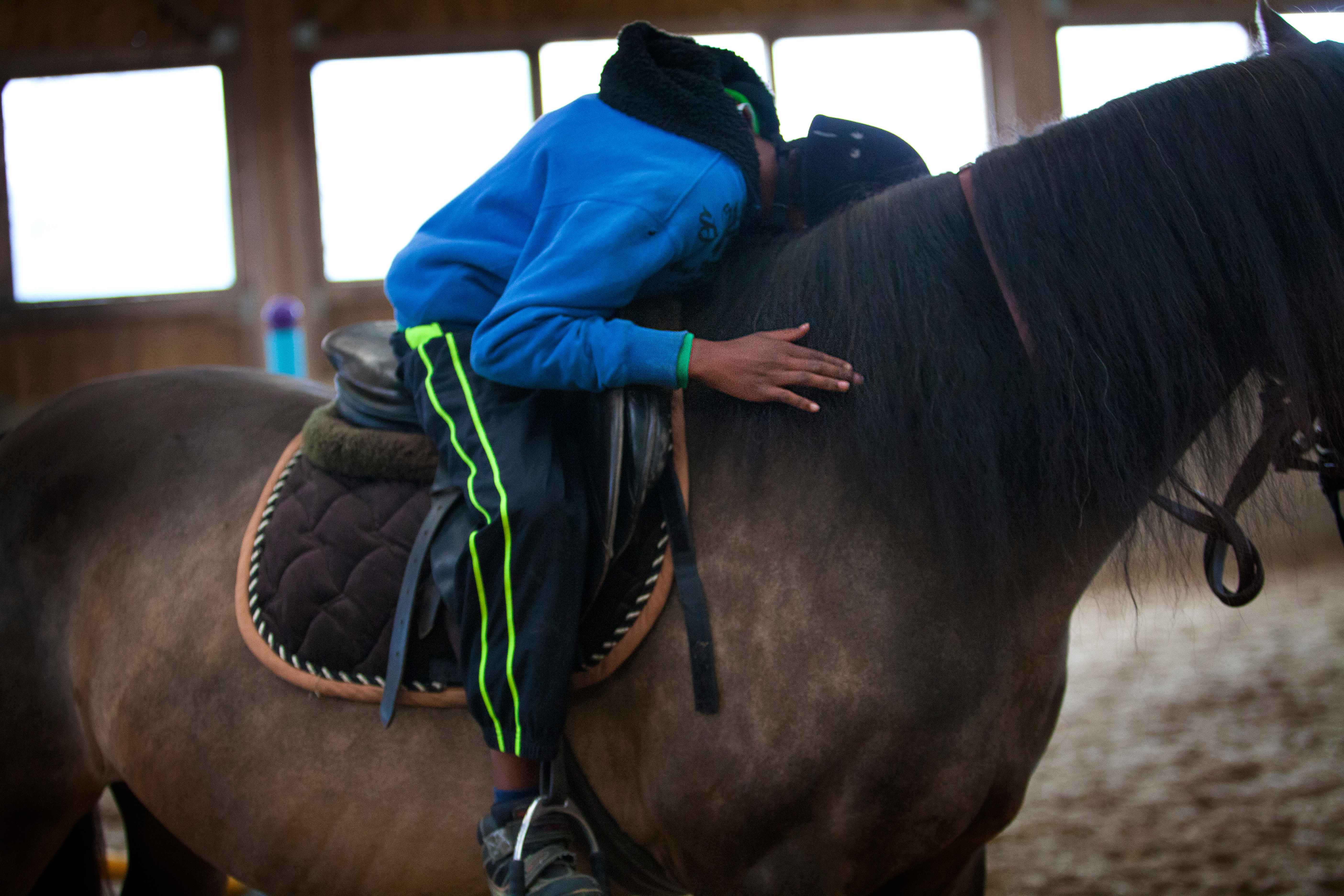 Equine-Assisted Therapy